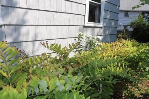 54 15th Street Bangor ME 04401