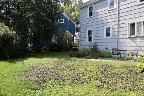 54 15th Street Bangor ME 04401