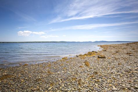 1498 Newbury Neck Road Surry ME 04684