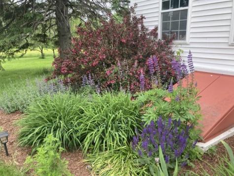 22 Old Jay Hill Road Jay ME 04239