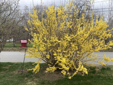 22 Old Jay Hill Road Jay ME 04239