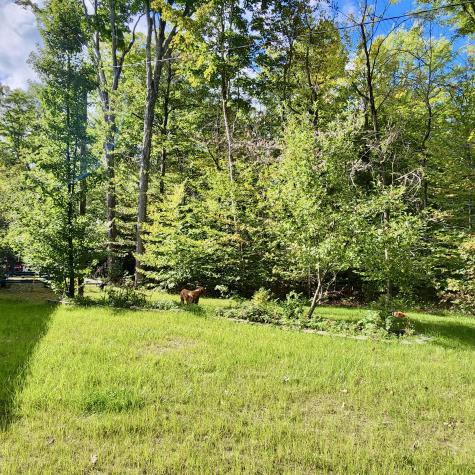 176 Island Way Carmel ME 04419