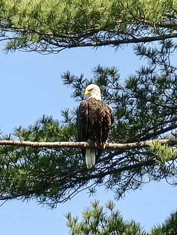 176 Island Way Carmel ME 04419