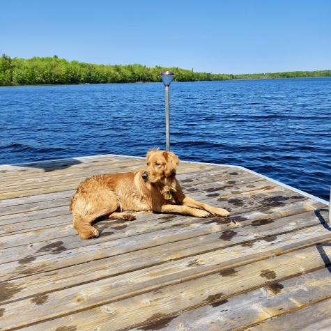 176 Island Way Carmel ME 04419