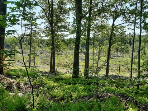 300 Jones Road Somerville ME 04348