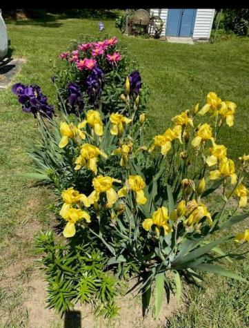 1 Caton Road Raymond ME 04071