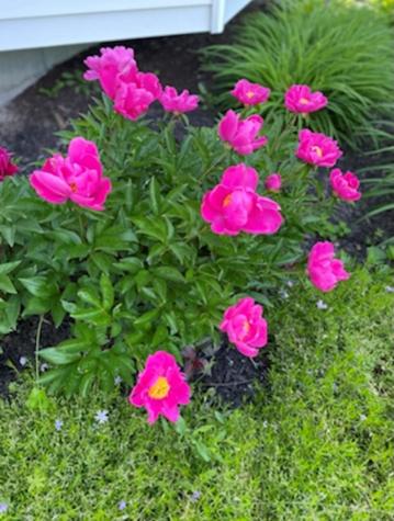 1 Caton Road Raymond ME 04071