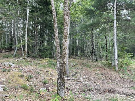 25 Echo Lane Phippsburg ME 04562