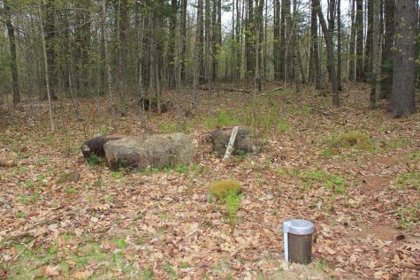 19 Wood Frog Lane Litchfield ME 04350