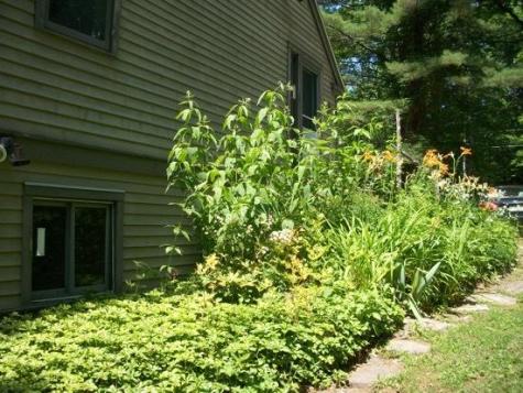 19 Wood Frog Lane Litchfield ME 04350