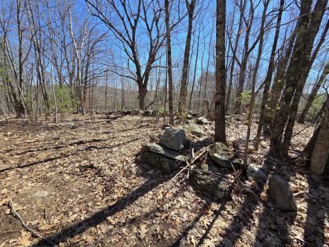 56 A Buzzell Lane Greene ME 04236