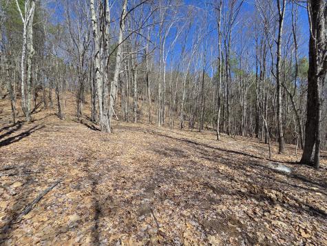 56 A Buzzell Lane Greene ME 04236