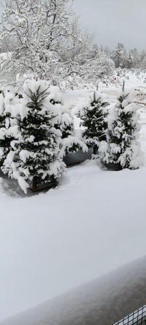 159 Moose Hill Road Fayette ME 04349