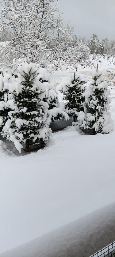 159 Moose Hill Road Fayette ME 04349