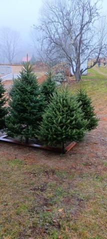 159 Moose Hill Road Fayette ME 04349