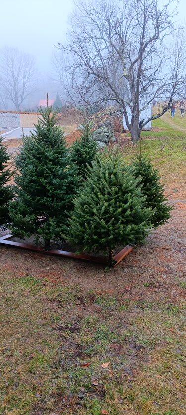 159 Moose Hill Road Fayette ME 04349