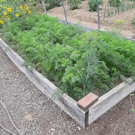 159 Moose Hill Road Fayette ME 04349