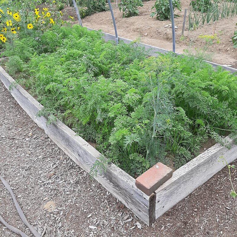 159 Moose Hill Road Fayette ME 04349