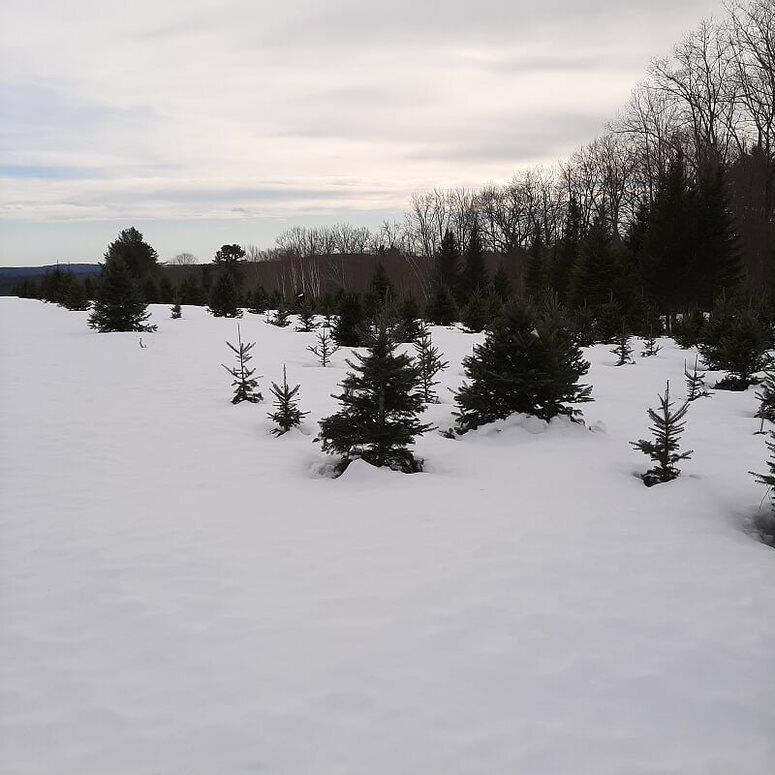 159 Moose Hill Road Fayette ME 04349