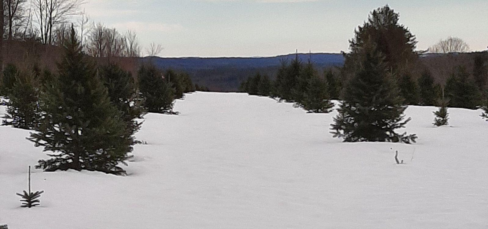 159 Moose Hill Road Fayette ME 04349