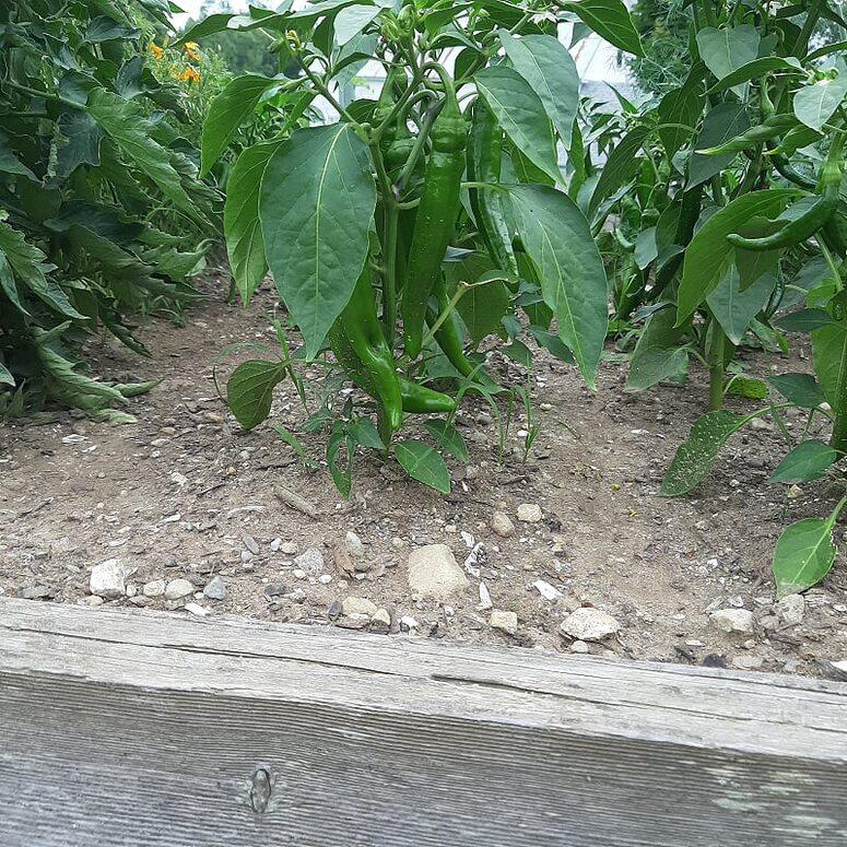 159 Moose Hill Road Fayette ME 04349