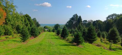 159 Moose Hill Road Fayette ME 04349