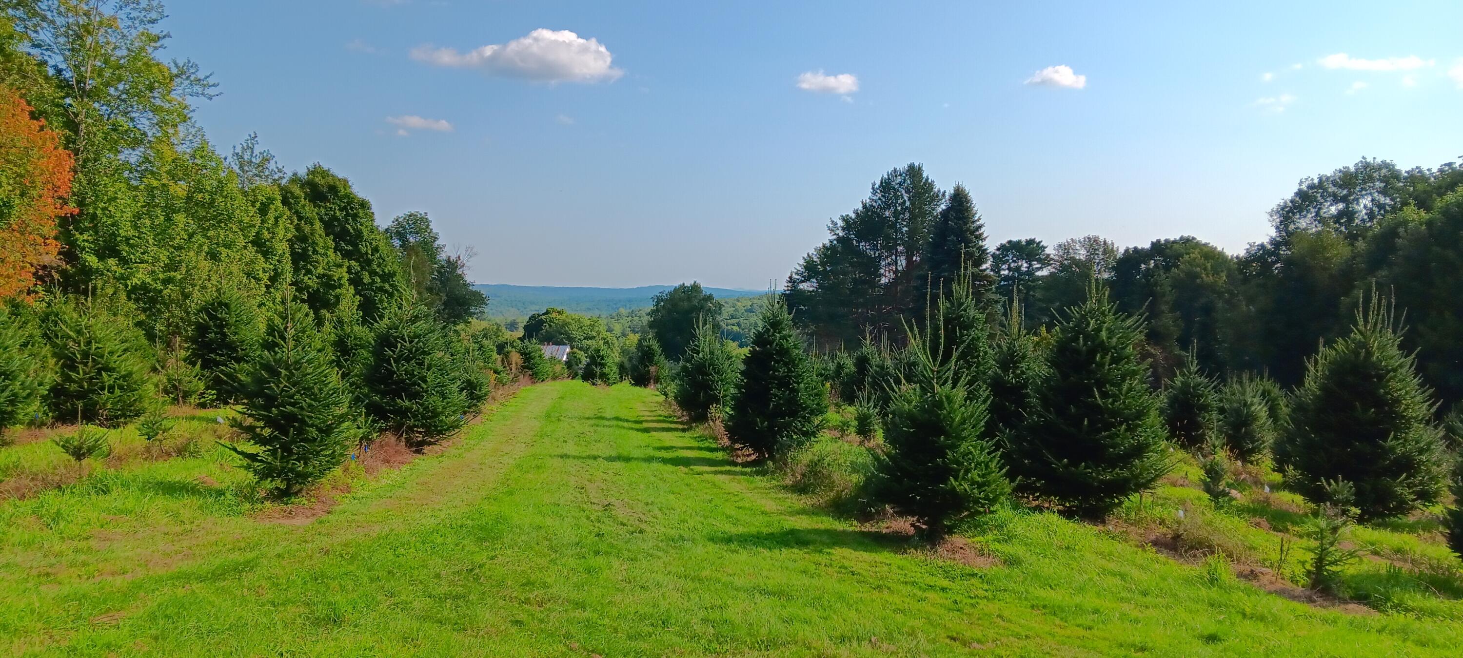 159 Moose Hill Road Fayette ME 04349