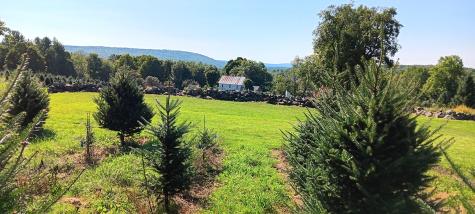 159 Moose Hill Road Fayette ME 04349