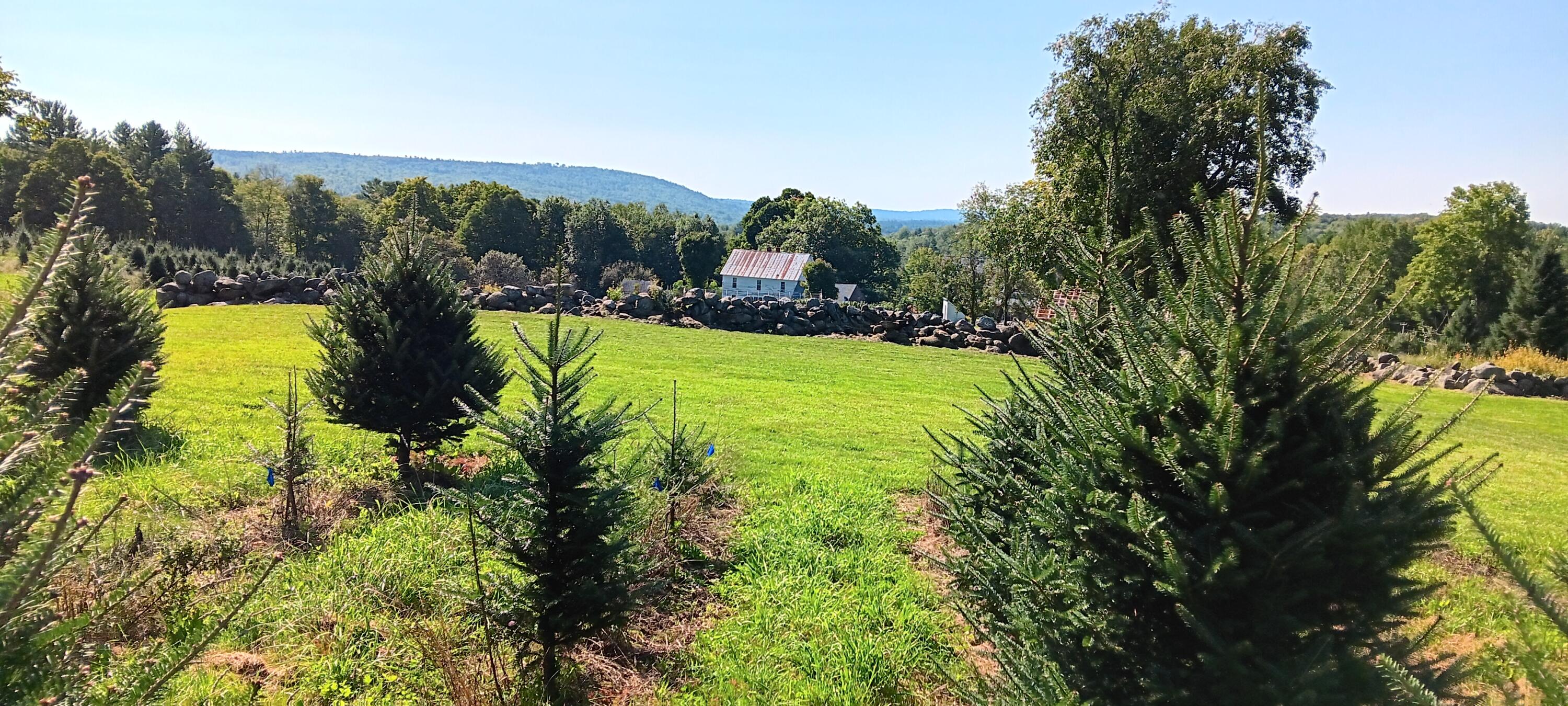 159 Moose Hill Road Fayette ME 04349