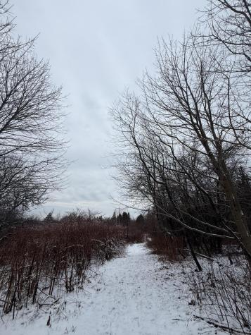 6 Case Drive Lubec ME 04652