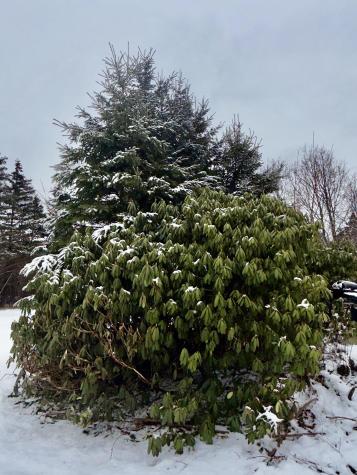 6 Case Drive Lubec ME 04652