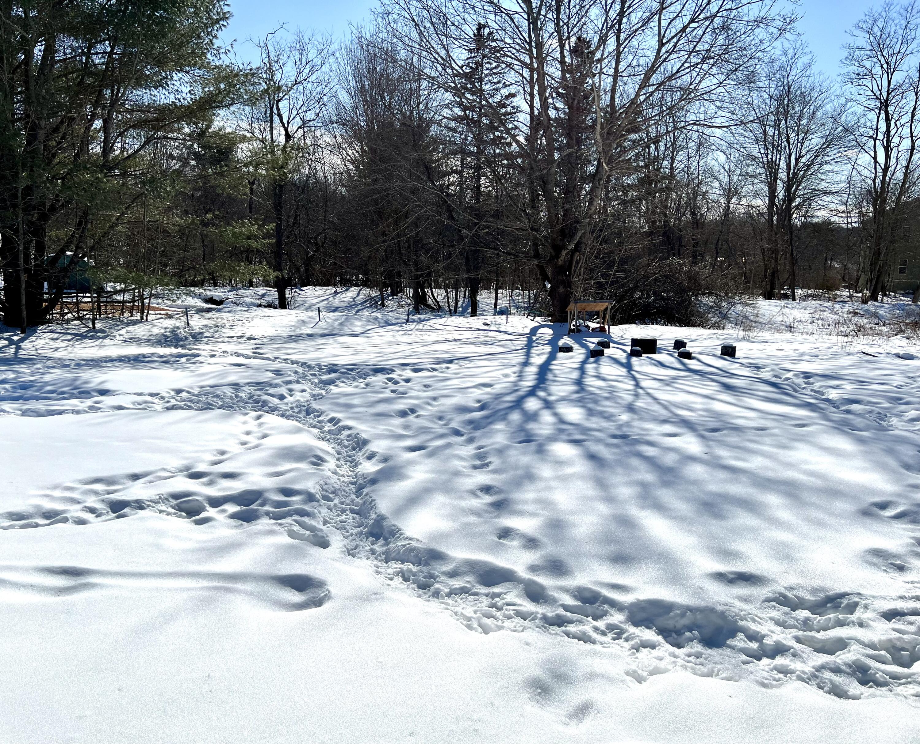 51 Washington Street Ellsworth ME 04605