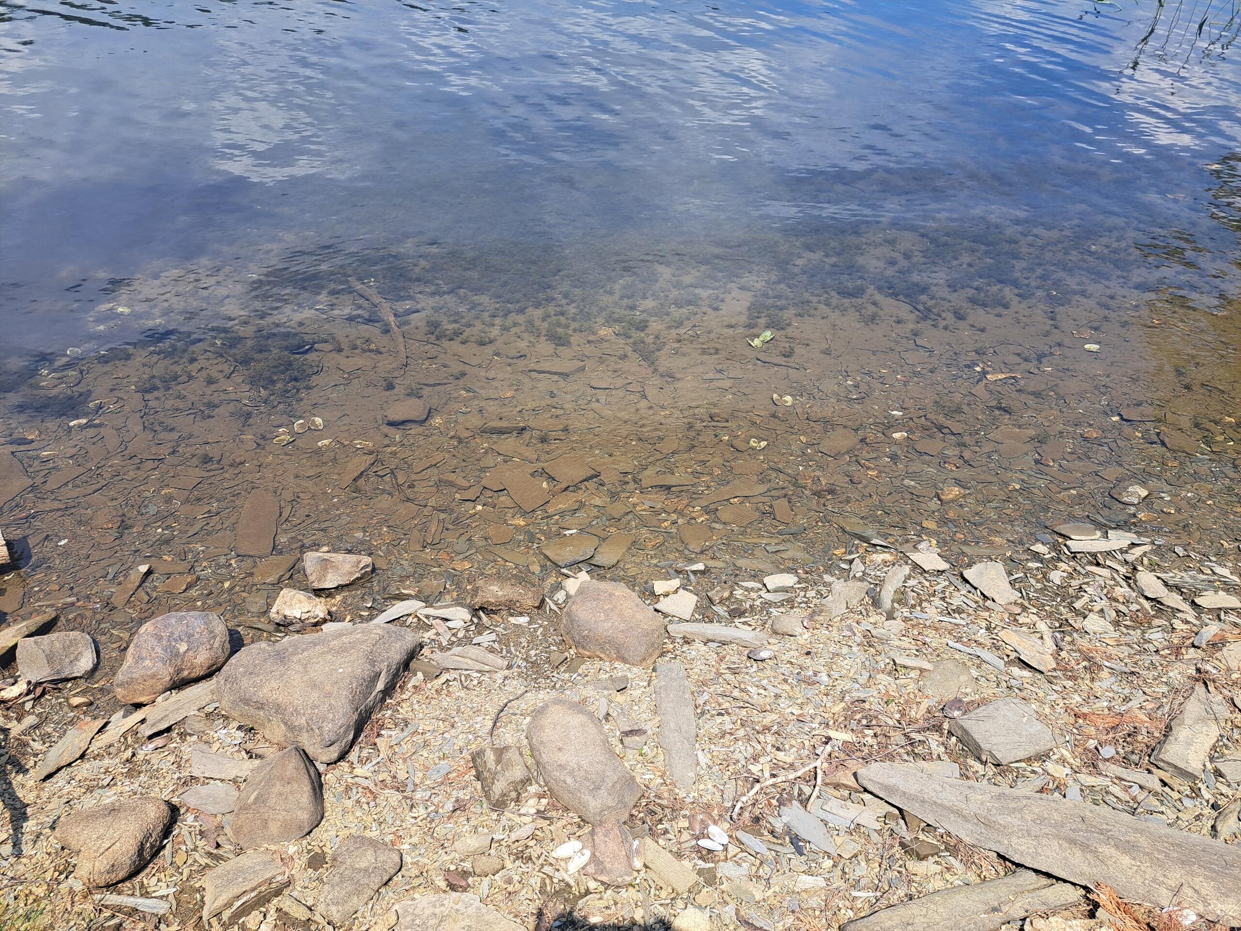 129 Cardinal Lane Dexter ME 04930