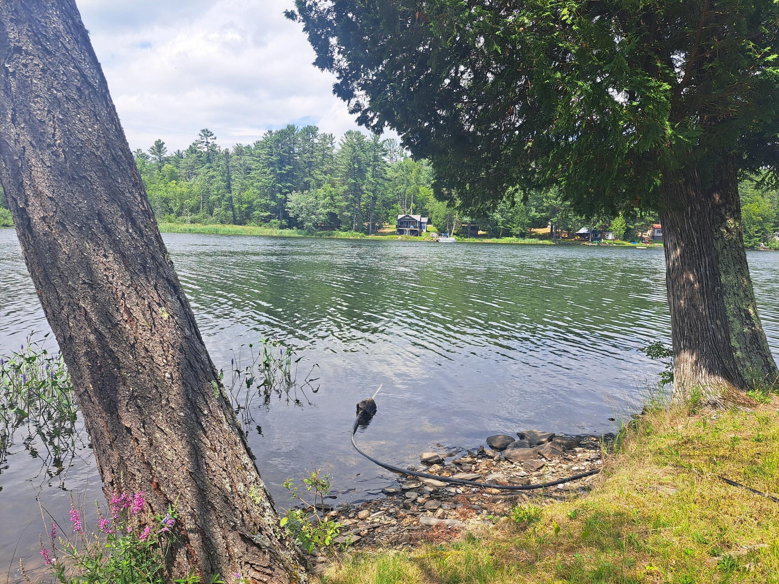 129 Cardinal Lane Dexter ME 04930