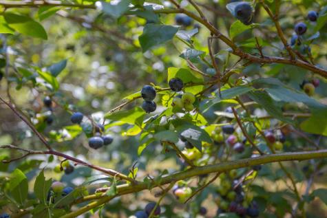 72 Main Street Peru ME 04290