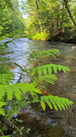 72 Main Street Peru ME 04290