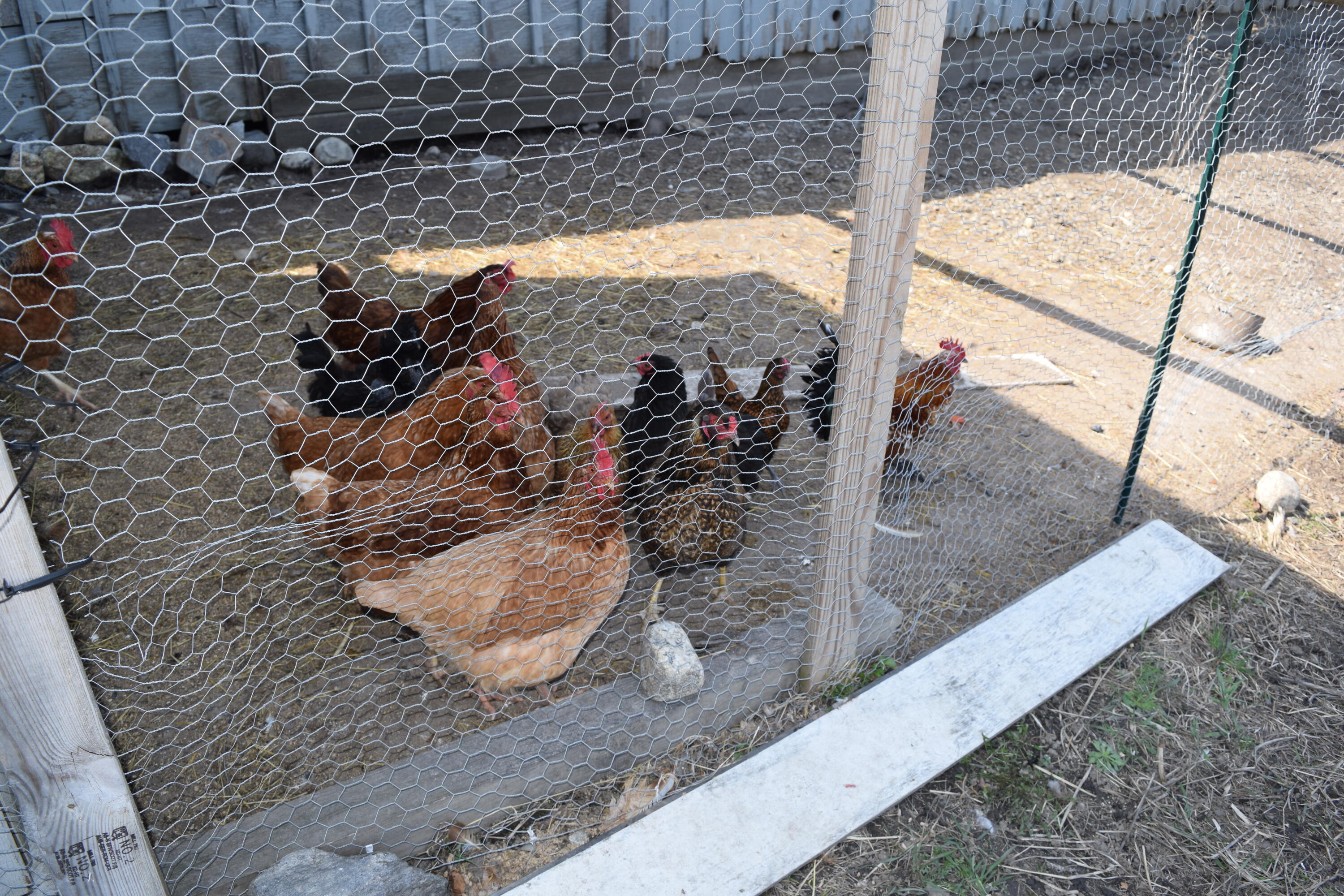 360 Church Road Brunswick ME 04011