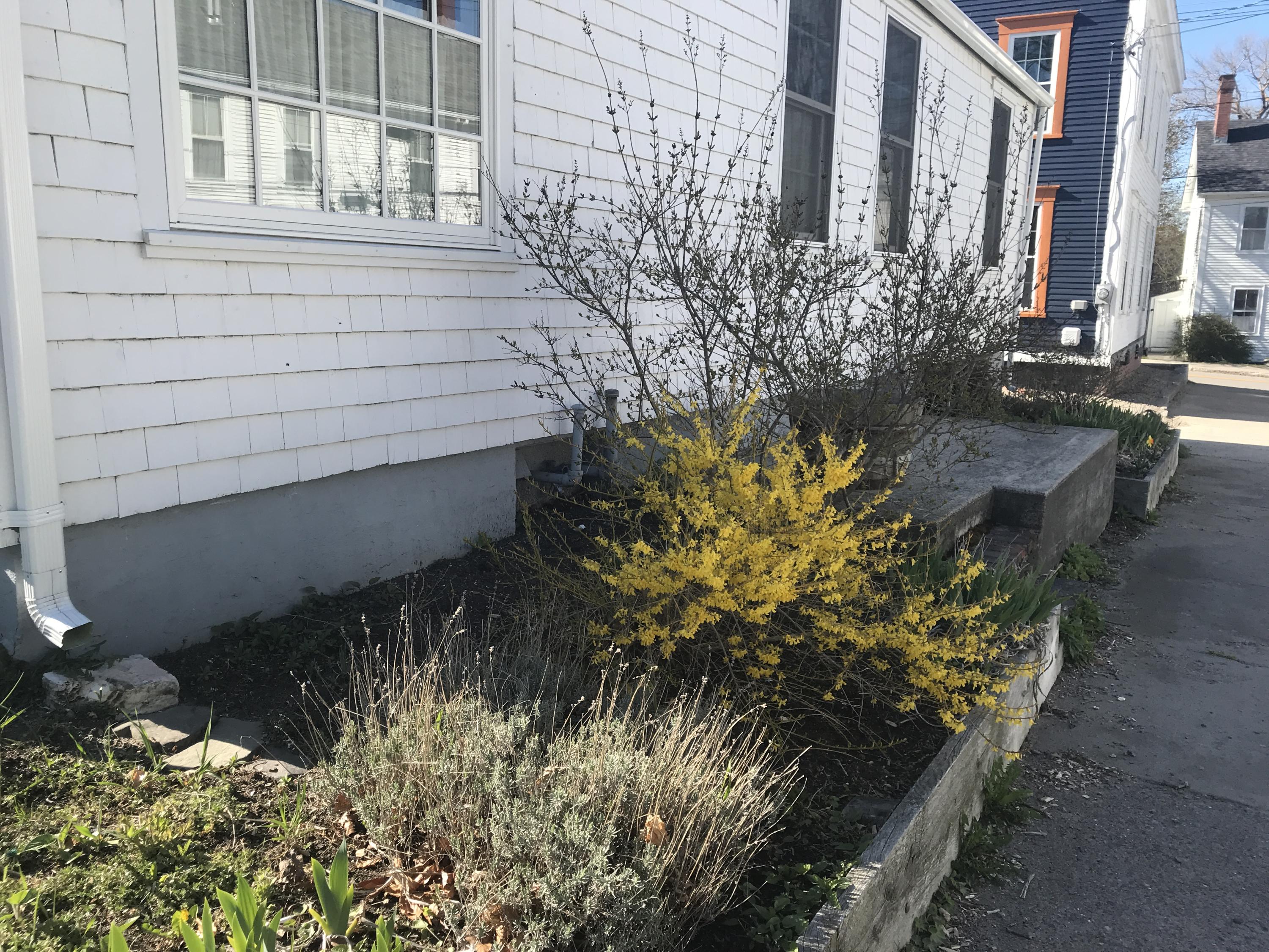 2 Kilby Street Eastport ME 04631