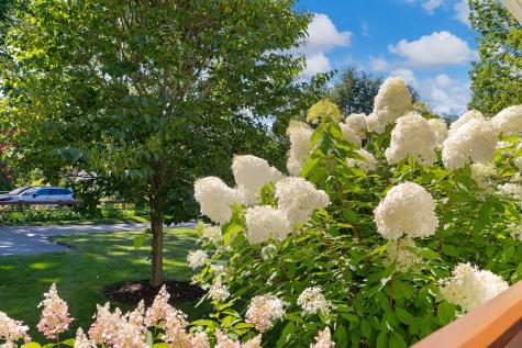 3 Sentry Hill Road York ME 03909