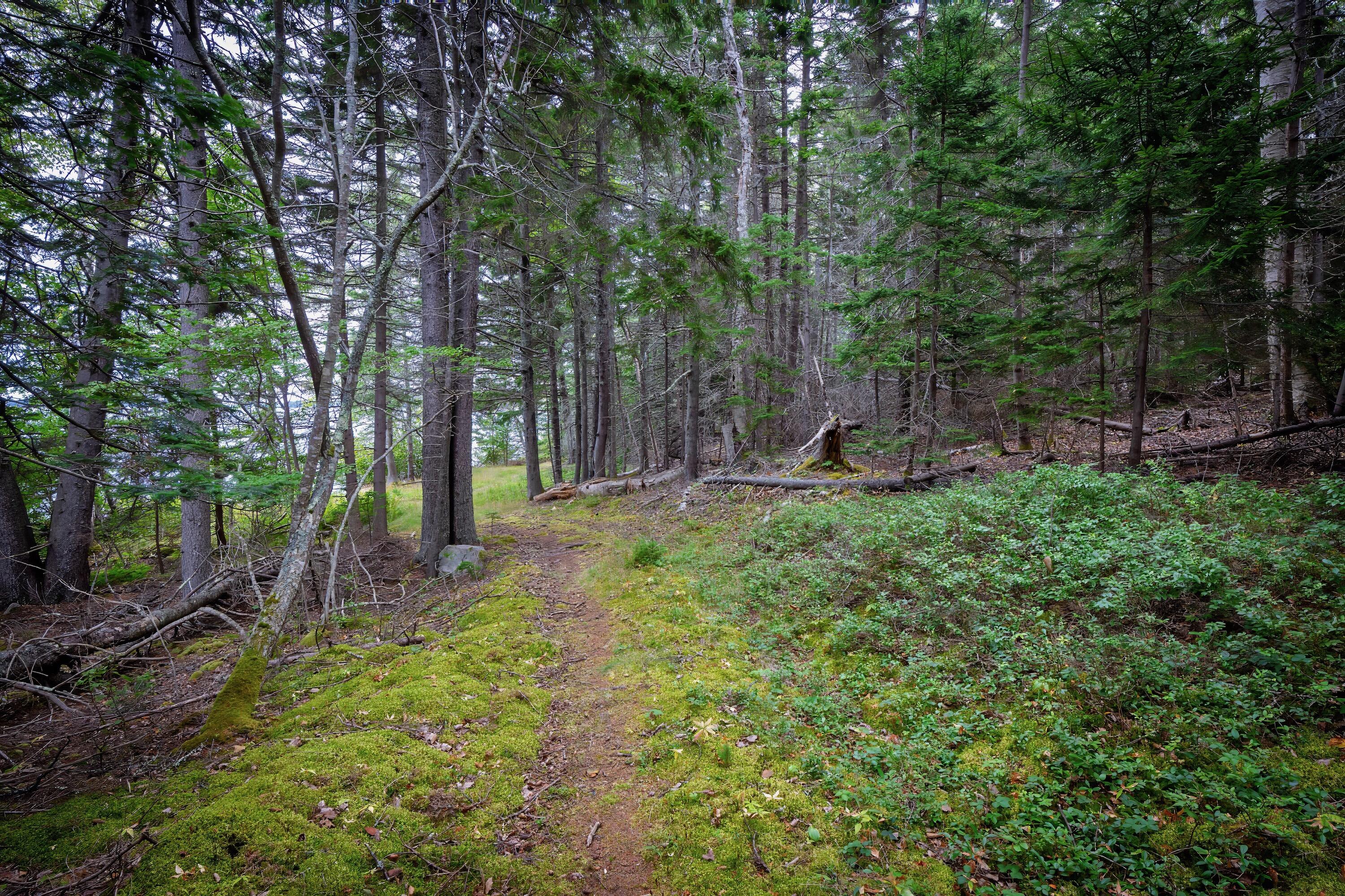 163 Back Road Brooklin ME 04616