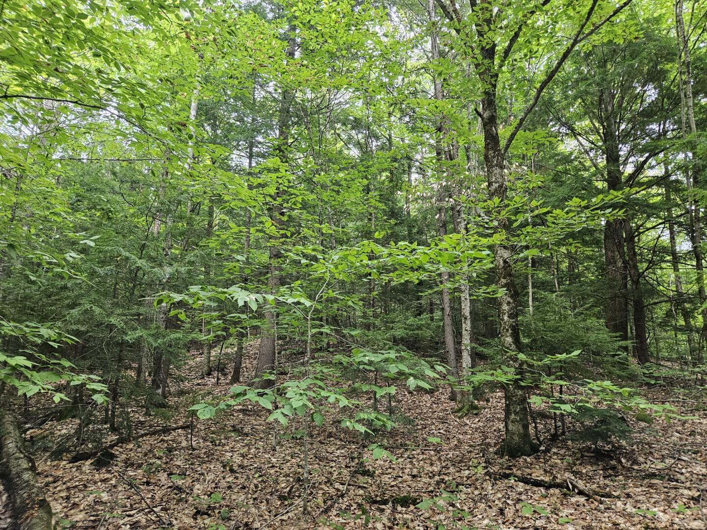 33 Charles Farm Trail Rome ME 04963