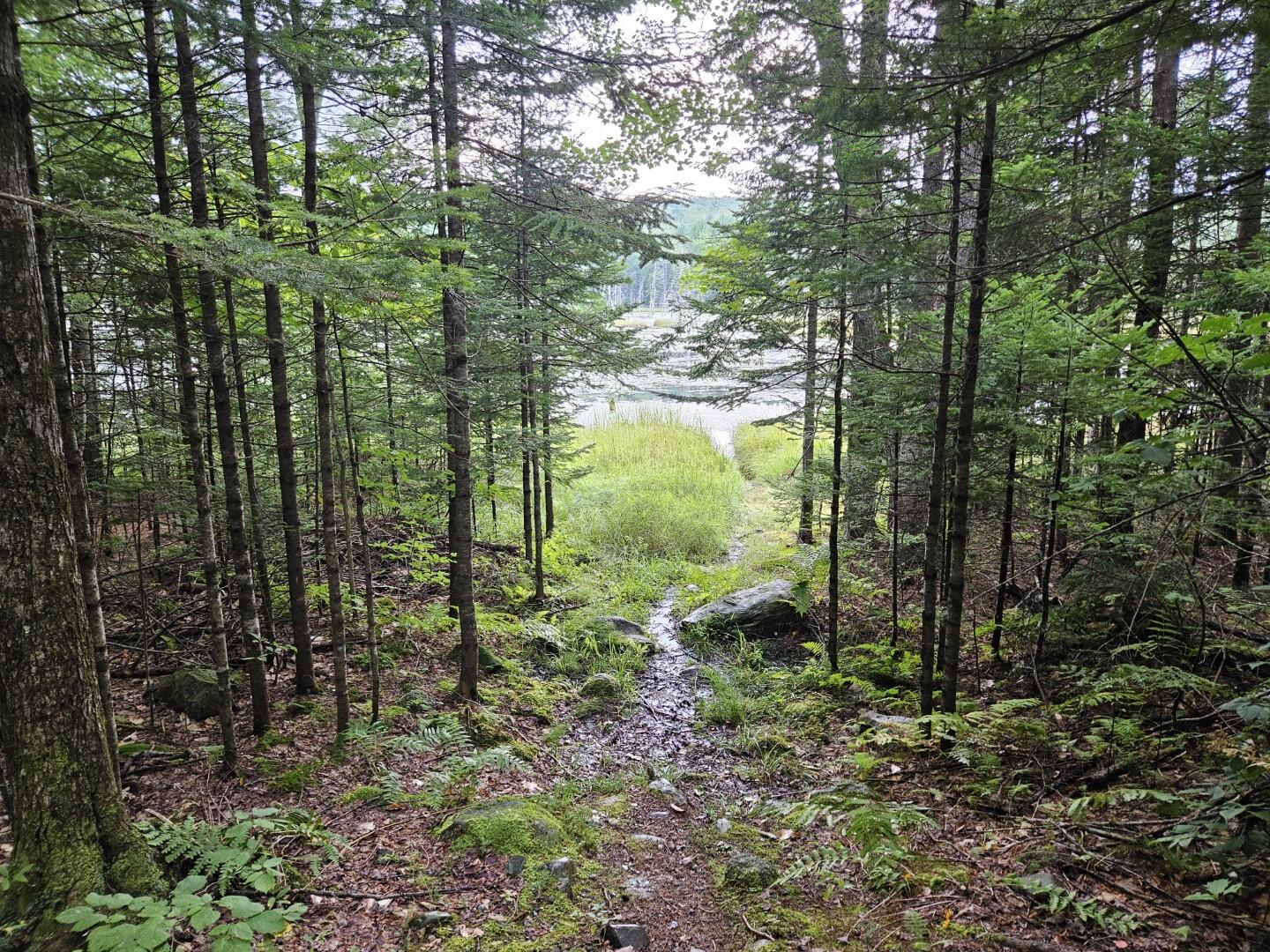 33 Charles Farm Trail Rome ME 04963