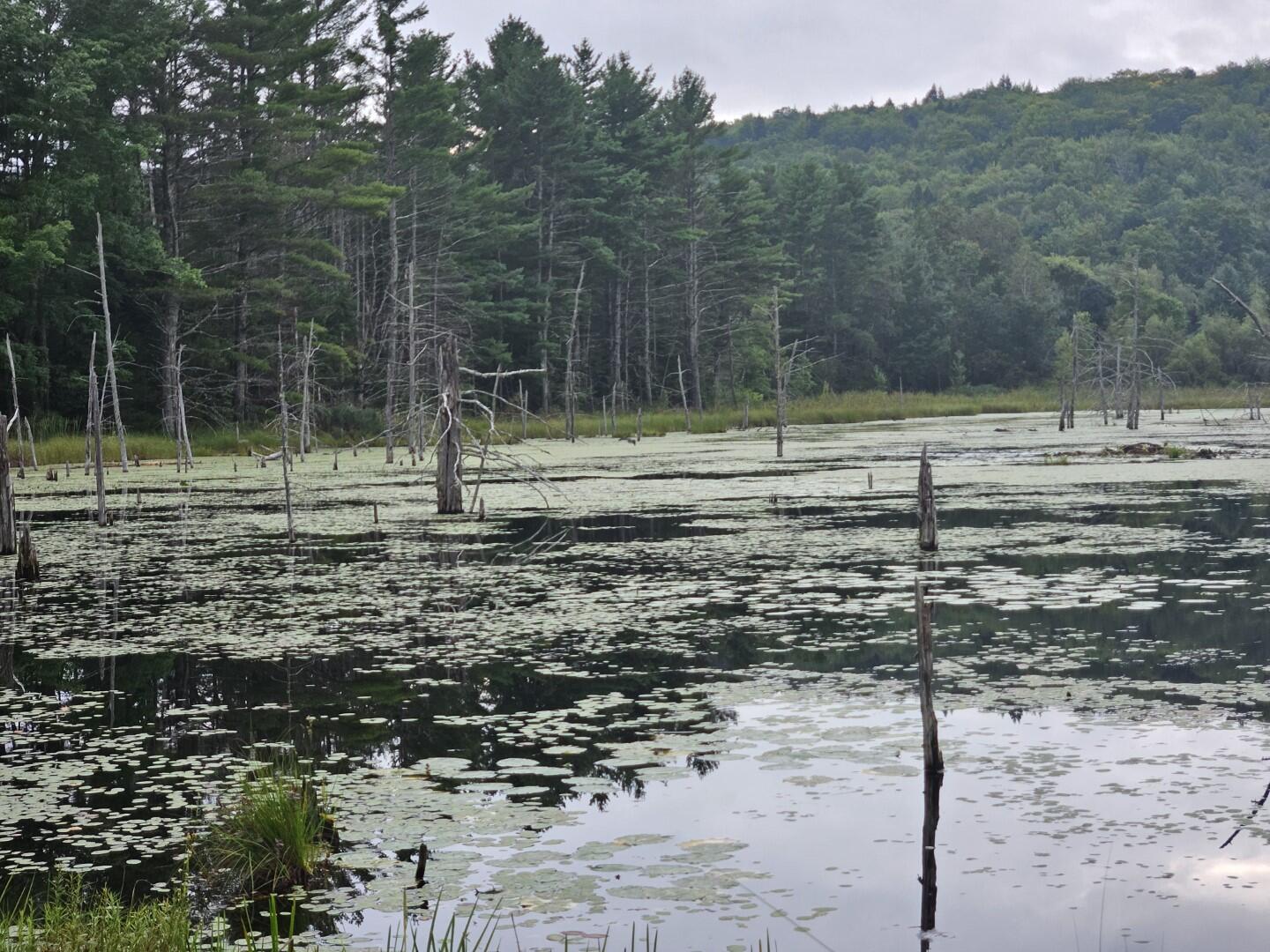 33 Charles Farm Trail Rome ME 04963