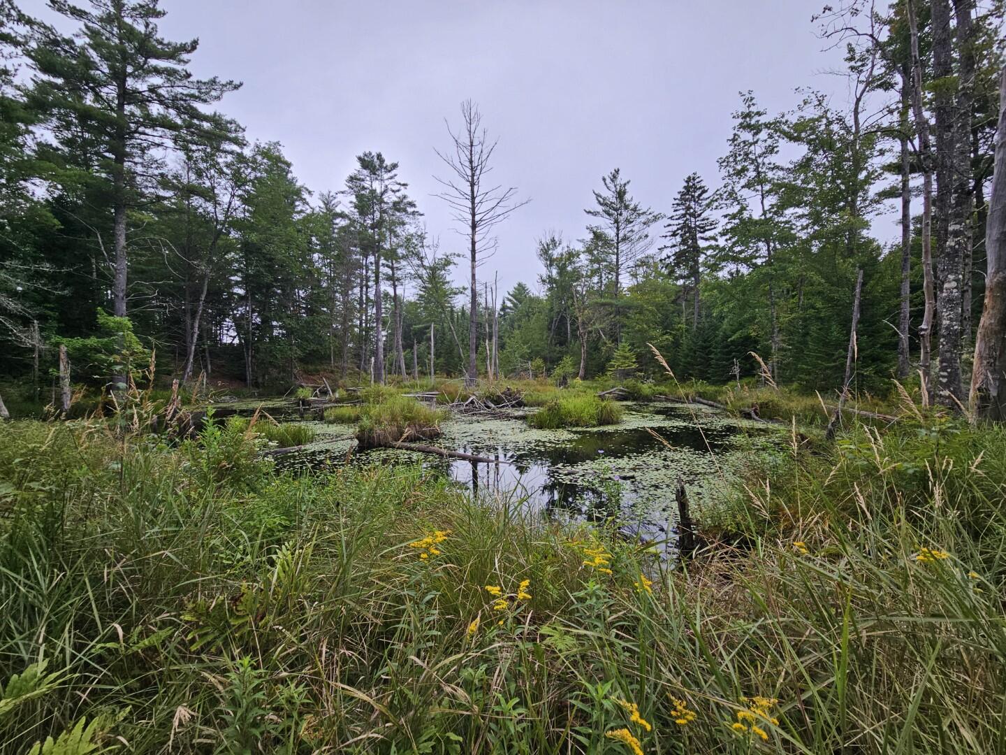 33 Charles Farm Trail Rome ME 04963