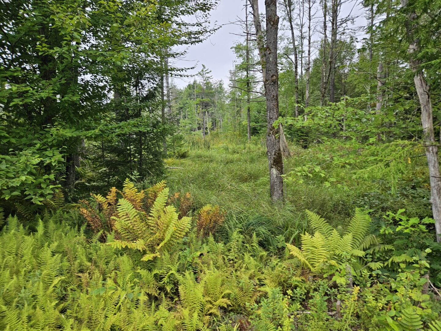 33 Charles Farm Trail Rome ME 04963