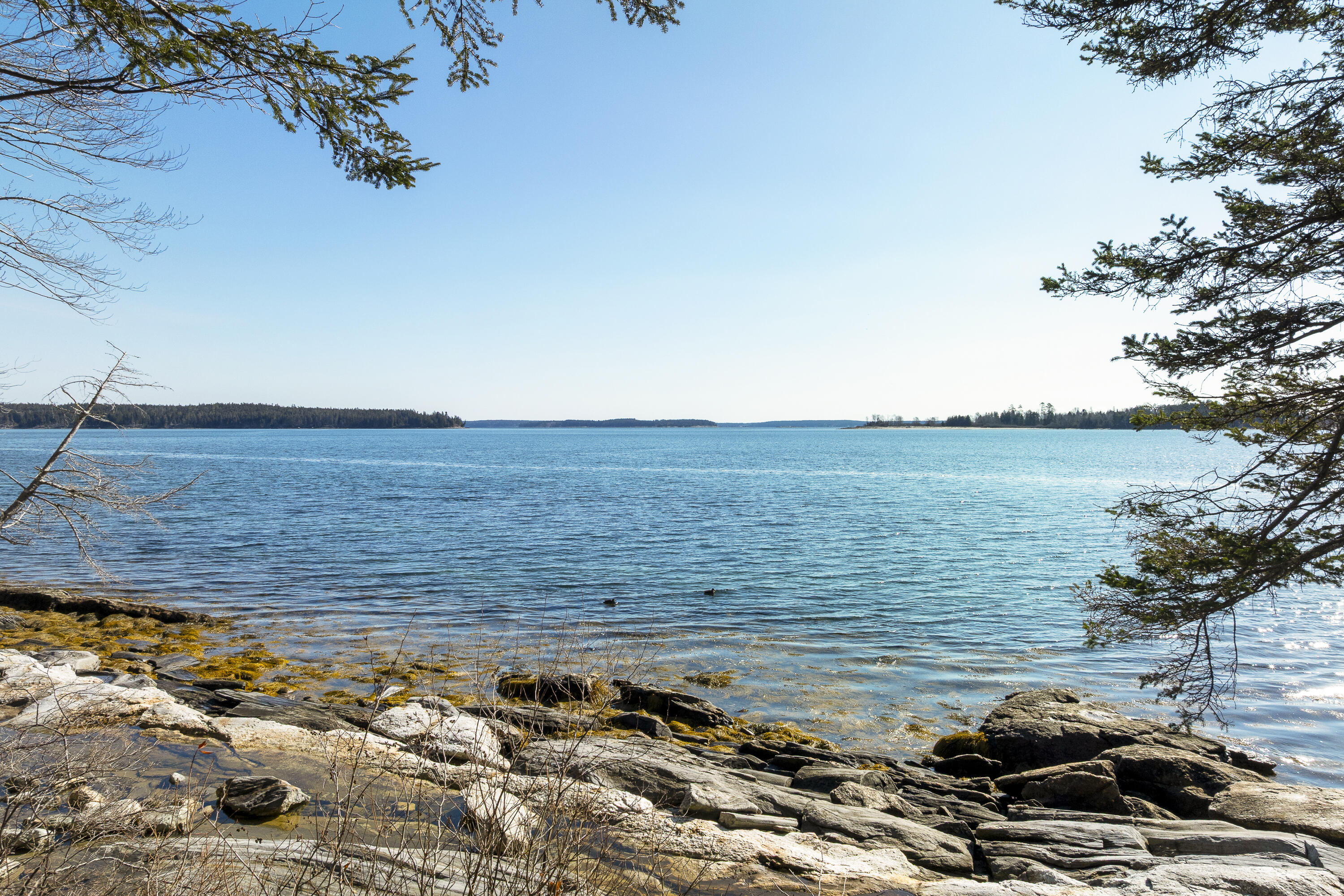 153 Back Shore Road Bristol ME 04564