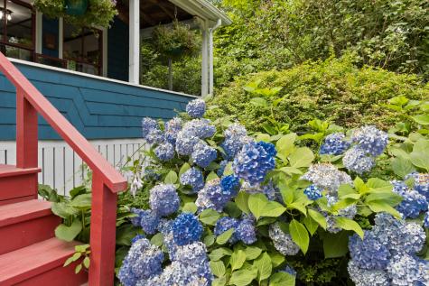 85 Upper A Street Portland ME 04108