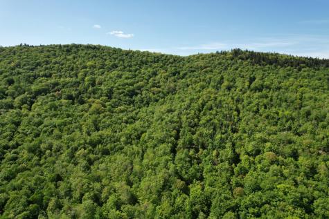 233 Weld Road Phillips ME 04966