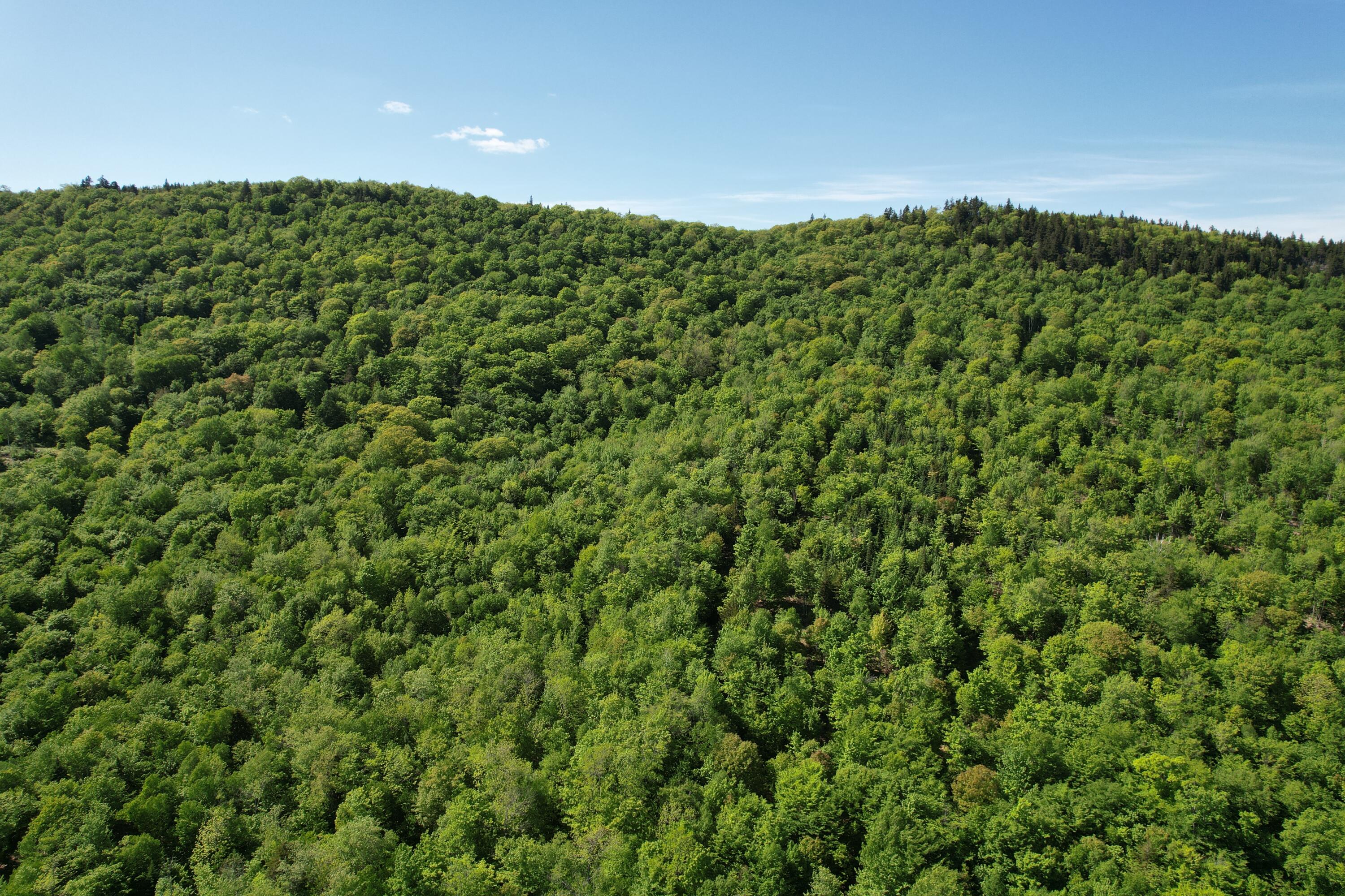 233 Weld Road Phillips ME 04966