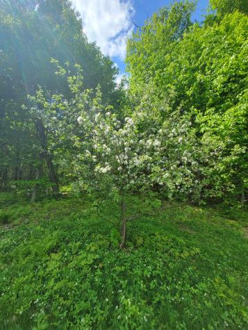 233 Weld Road Phillips ME 04966